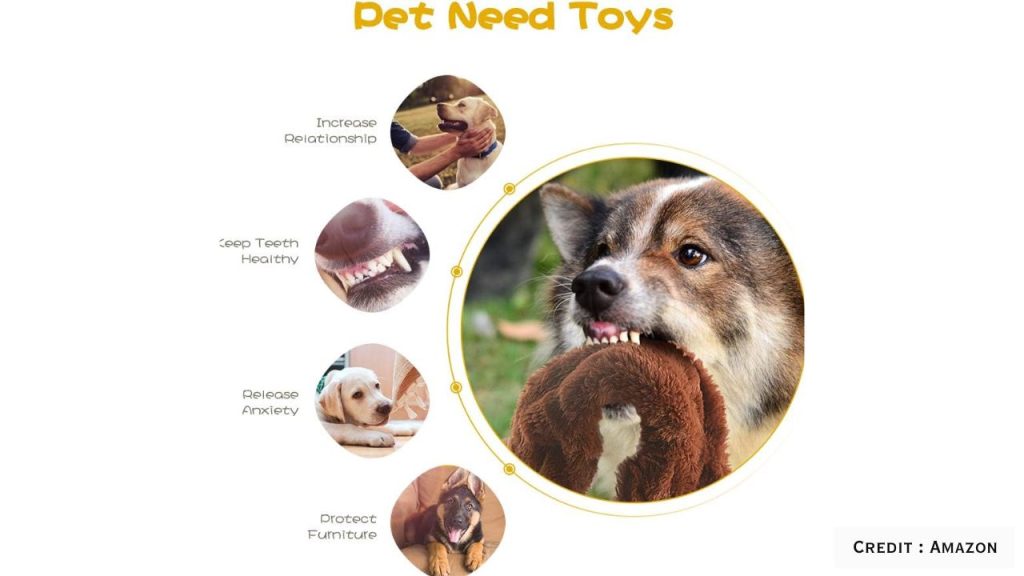 5-Pack Plush Animal Dog Toys with Squeakers