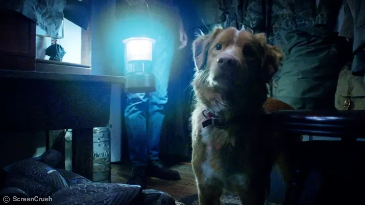 Indy the dog standing alert in a dimly lit house scene from Good Boy, highlighting suspense and fear.