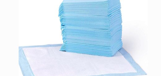 Amazon Basics Dog Pee Pads pack of 100 – best seller in pet supplies