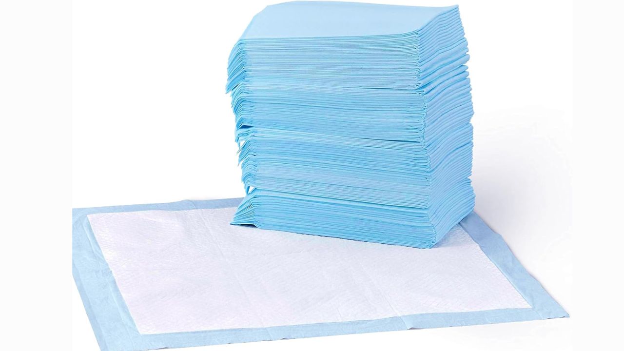 Amazon Basics Dog Pee Pads pack of 100 – best seller in pet supplies