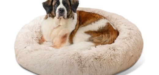 Best Friends by Sheri Calming Donut Dog Bed for anxiety relief