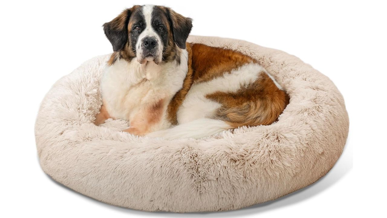 Best Friends by Sheri Calming Donut Dog Bed for anxiety relief