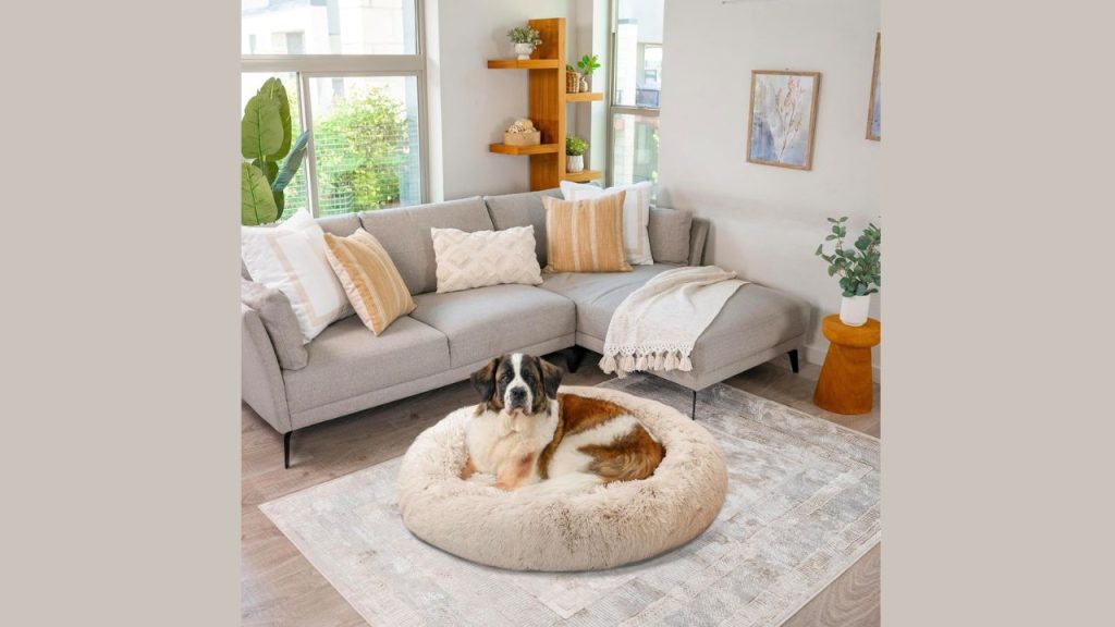 Happy pet owner with dog resting in Sheri Calming Donut Bed