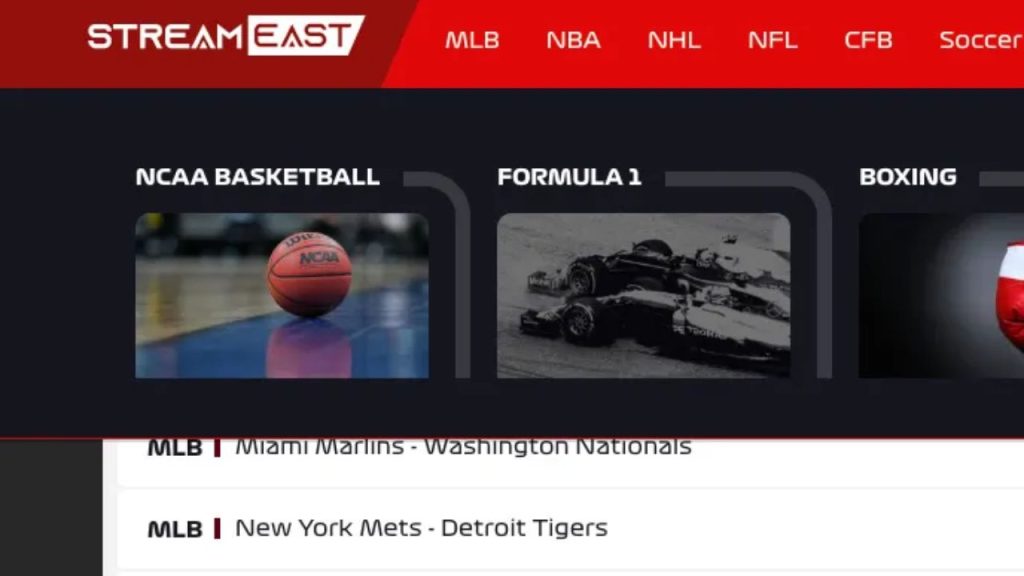Screenshot of a news site (The Verge) reporting Streameast as “shut down in sting,” capturing the official announcement tone.